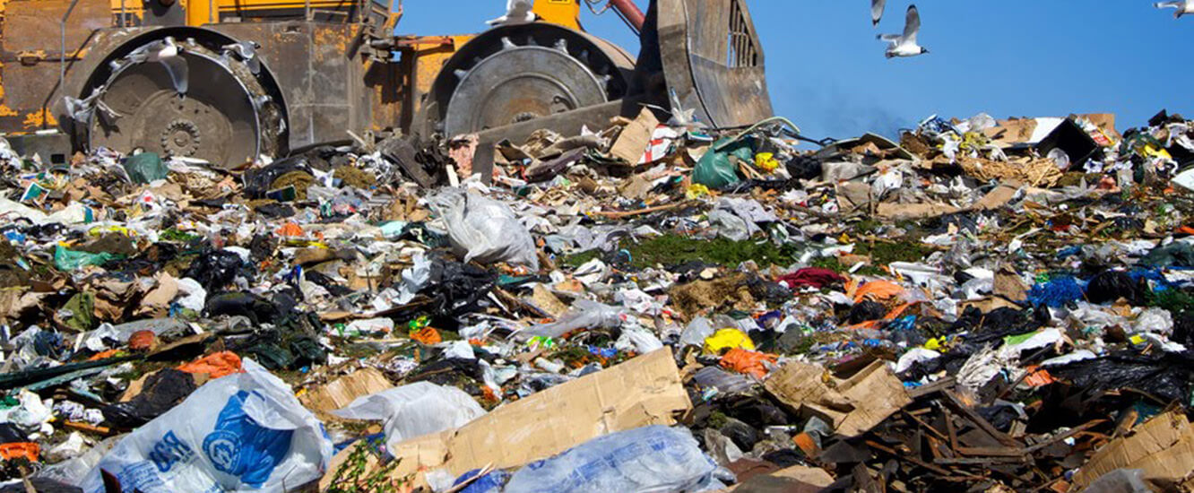 Debris dumping and hauling in Buffalo NY